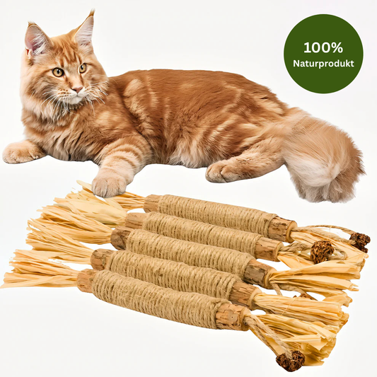 Matatabi Kitty Sticks